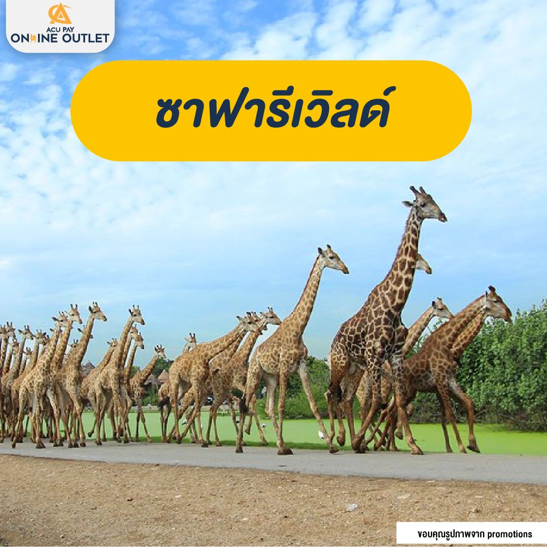 ซาฟารีเวิลด์